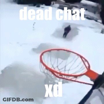 Basketball Hoop In Snow Saying Dead Chat XD GIF
