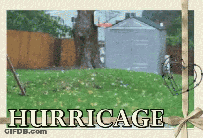 Basketball Hoop With Hurricage GIF