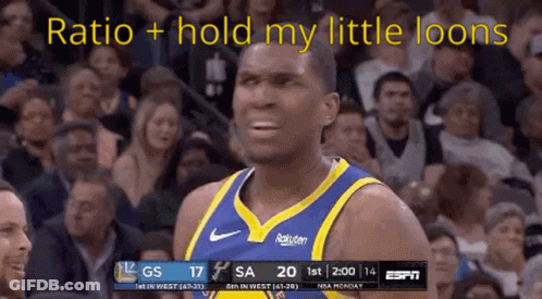 Basketball Player Before Crowd Ratio + Hold My Little Loons GIF