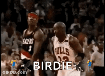 Basketball Player In Bulls Jersey Chased By Bird While Dribbling GIF