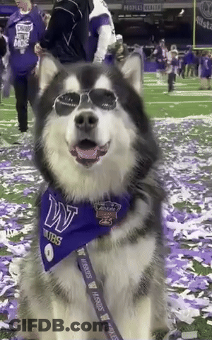 Basketball Player In Purple Uniform Number 15 GIF