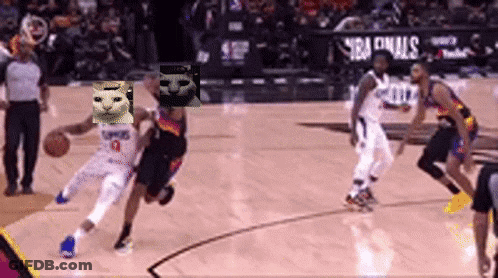 Basketball Player With Cat On Head Dribbling GIF