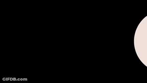 Basketball Referee With Official Healthcare Partner Sign GIF