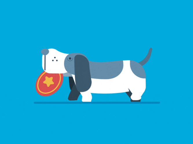 Basset Hound Walk Slow GIF