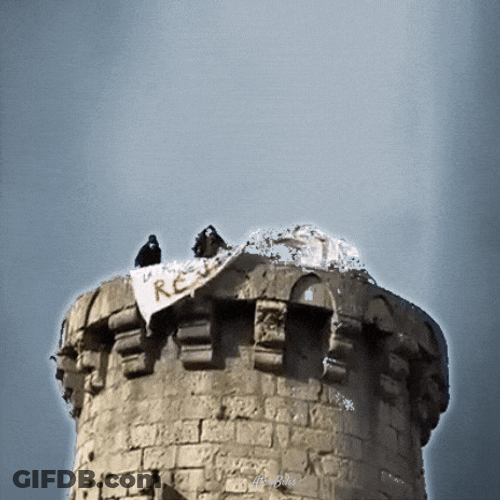 Bastille Day Revolution GIF