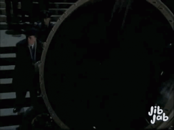 Bat Signal Maysi Cat GIF