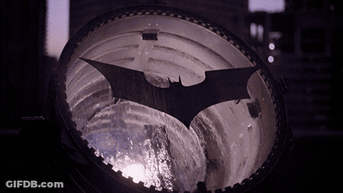 Bat Silhouette Reflected In Glass GIF