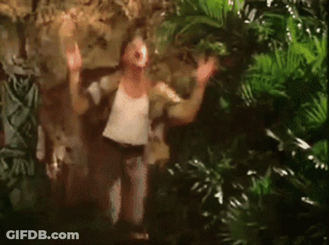 Bat Swarm Ace Ventura Help Me GIF