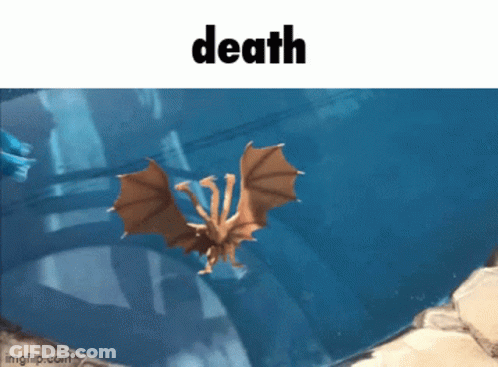 Bat Swimming In Water With Death Above GIF