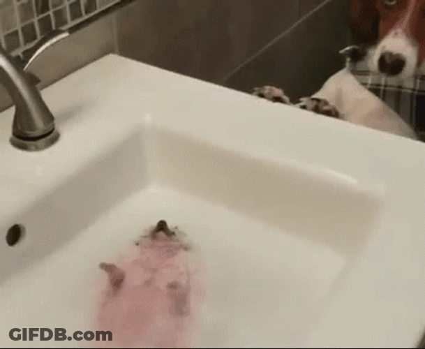 Bath GIF