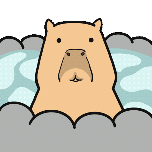 Bath Face Washing Capybara Meme GIF