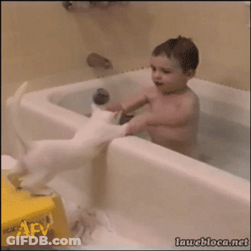 Bath GIF