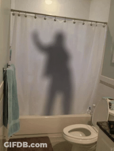 Bathroom Shower Curtain Shadow GIF
