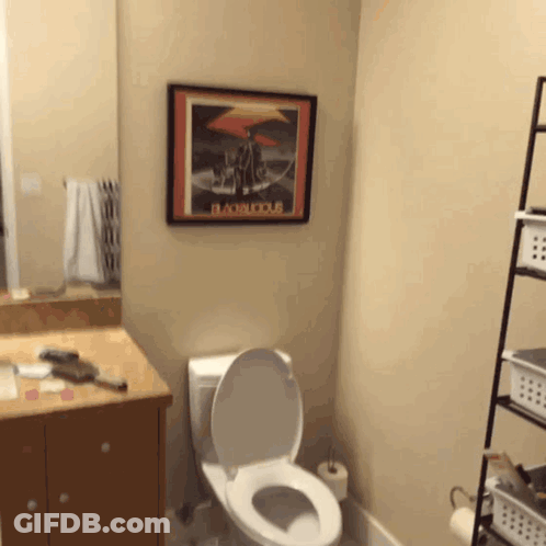 Bathroom With Bacchus Picture Above Toilet GIF