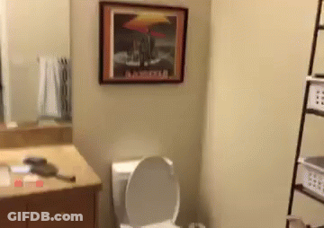 Bathroom With Picture Above Toilet GIF