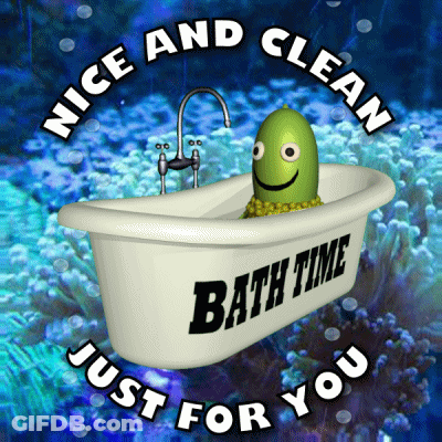 Bathtub Saying Bath Time GIF
