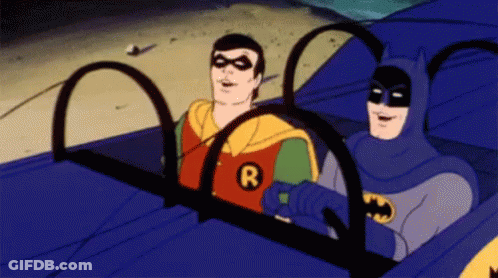 Batman And Robin In Car With R On Chests GIF
