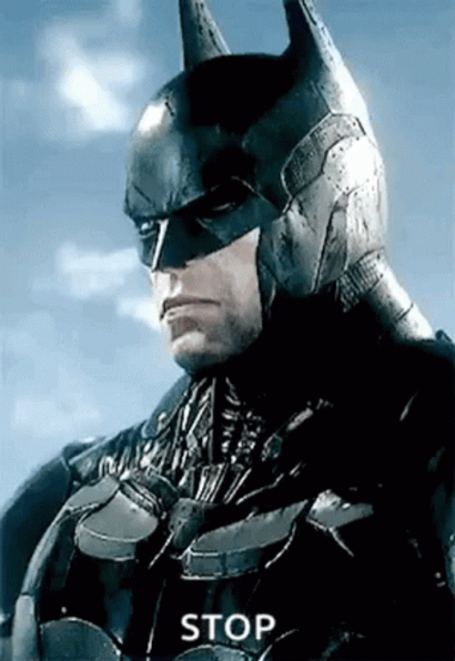 Batman Arkham City Stop GIF