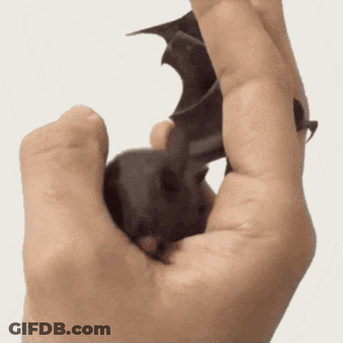 Batman Cartoon Link Hand GIF