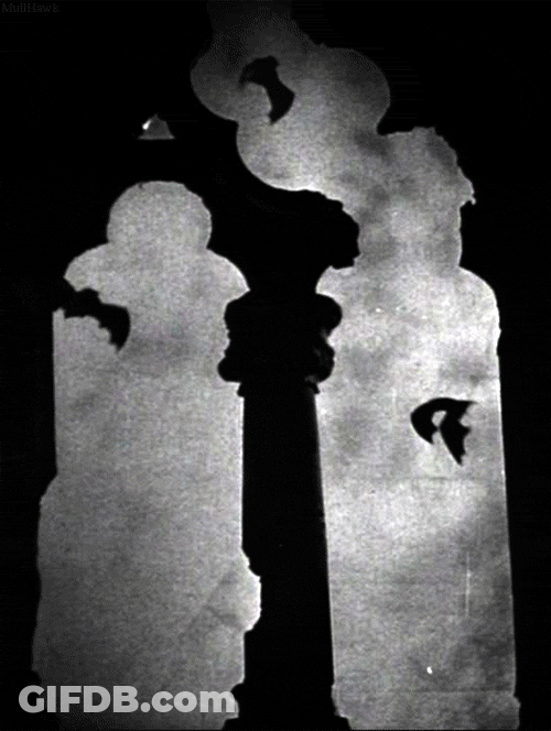 Bats Black And White Vampre GIF