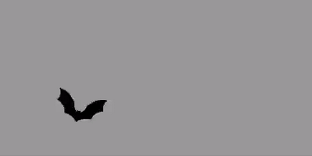 Bats Flying Animation GIF