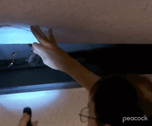 Bats In Office Ceiling GIF