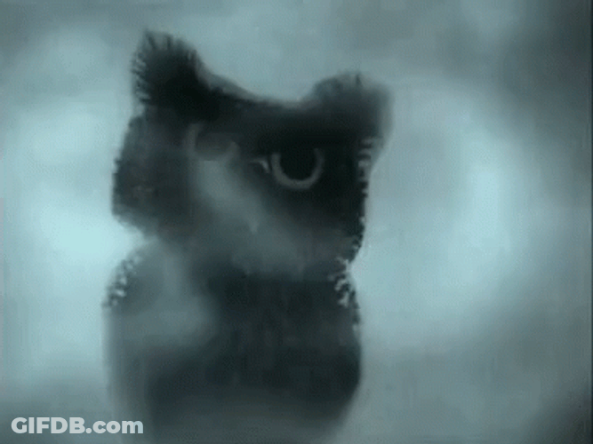 Bats In The Fog GIF