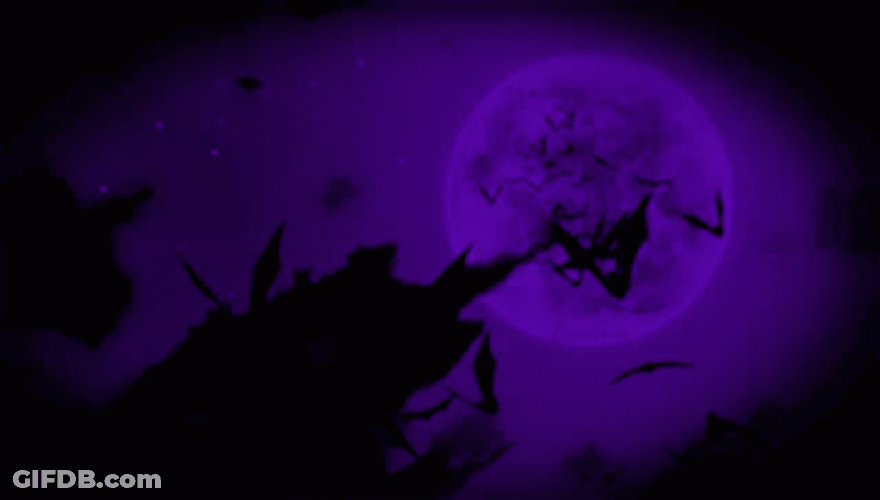 Bats Scary Spooky Purple Aesthetic GIF