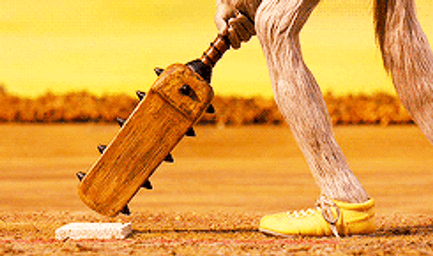 Batsman Getting Ready To Start Cricket GIF