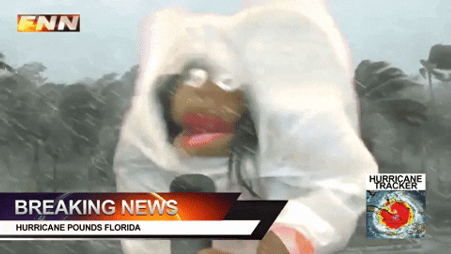 Batten Down The Hatches Fail Puppet Reporter GIF