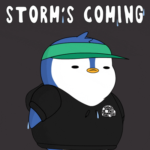 Batten Down The Hatches Pudgy Storm Coming GIF