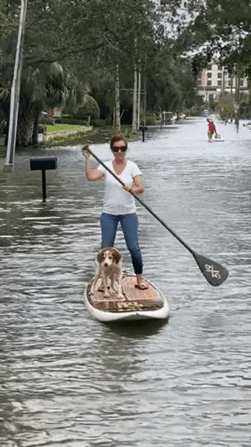 Batten Down The Hatches Sailing In Flood GIF