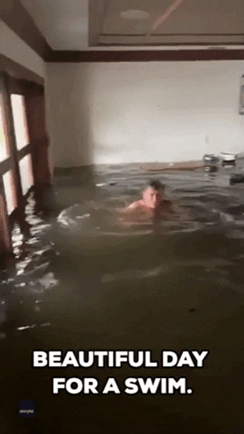 Batten Down The Hatches Swimming In Flood GIF