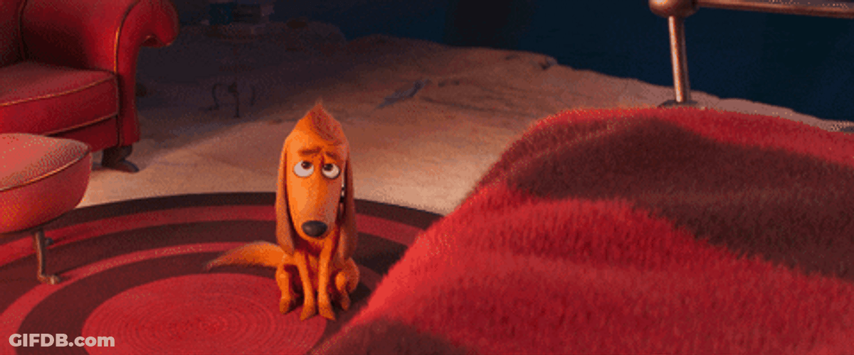 Batting Eyelashes Dog Moose Please Cartoon GIF