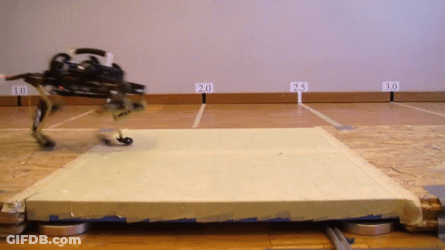 Battle Bots Cheetah Club GIF