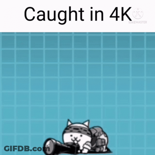 Battle Cats Caught In 4K GIF