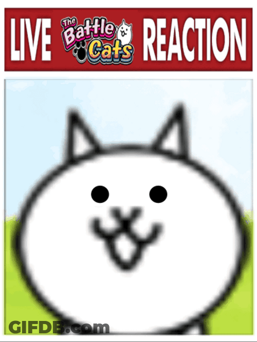 Battle Cats Live Reaction GIF