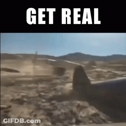 Battlefield 5 Get Real GIF