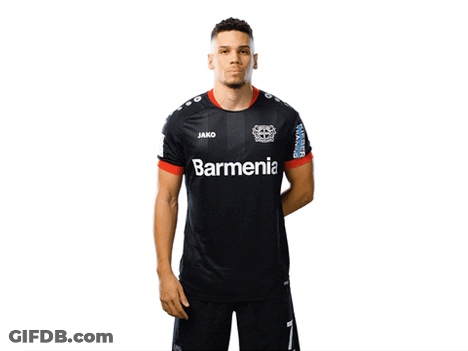 Bayer 04 Thank You Bow GIF