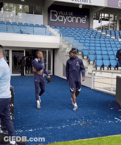 Bayonne On Blue Wall GIF