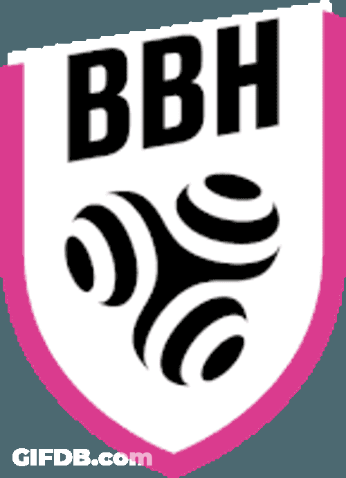 Bbh Sticker GIF