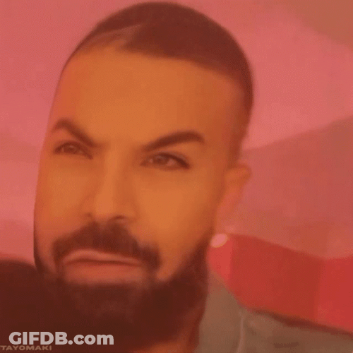 Bbl Drake Filtered Brows GIF