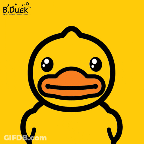 Bduck ไปสุมได้ขายเสื้อในที่ใส่ขวดไหนถึงใส่บียอนด์คู่ภัยควายเพลงวันใส่คู่ในๆเส้นไหนจะขาย 4 วันให้คุณทายใจไม่ซีคอน 4 นาย GIF