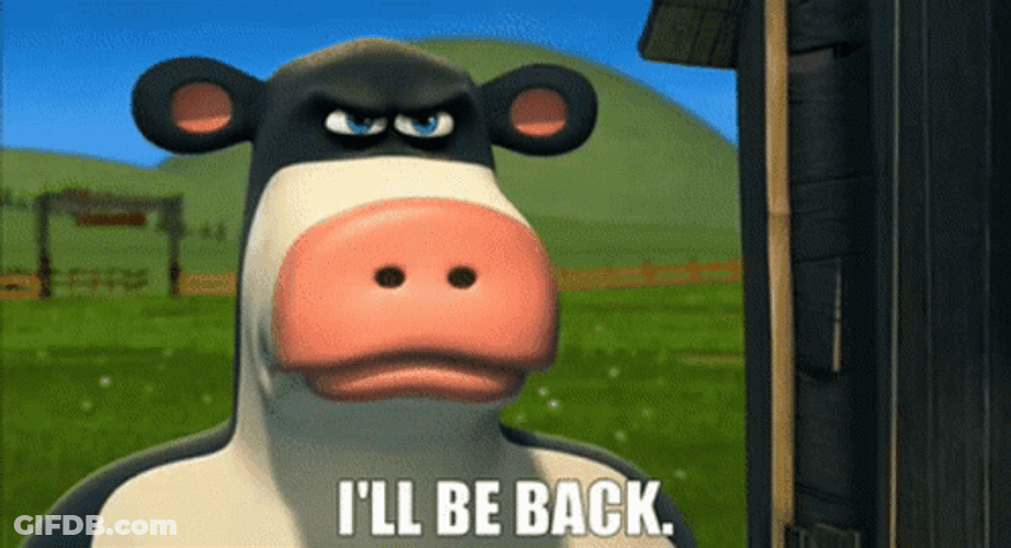 Be Back Otis Cow GIF