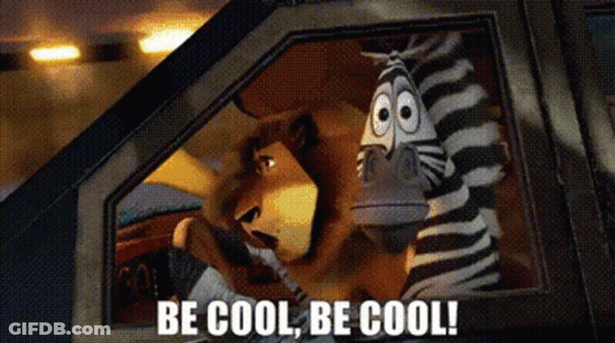 Be Cool Madagascar GIF