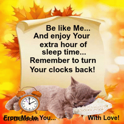 Be Like Me Enjoy Your Extra Hour Of Sleep Remember To Turn Clocks Back GIF