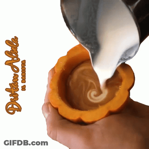 Be Nice Have Pumpkin Spice GIF