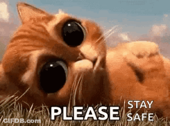 Be Safe Cute Puss N Boots GIF