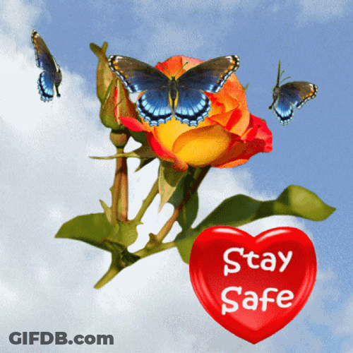 Be Safe Spinning Heart Butterflies GIF