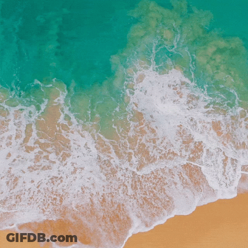 Beach Aerial View With Waves GIF